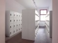 Casellari